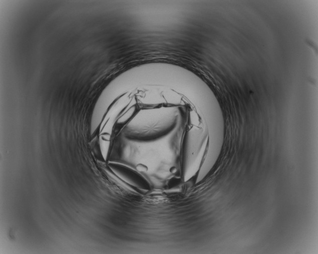 X0000097790427200804041240