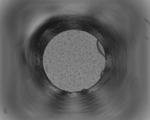 X0000097790430200804041240