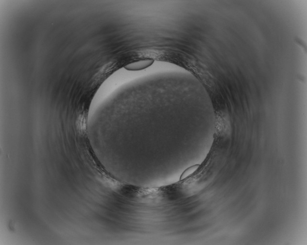 X0000097790431200804041240