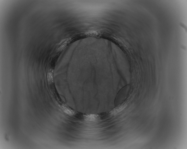 X0000097790432200804041240