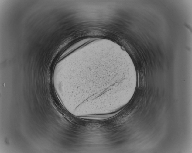 X0000097790435200804041239