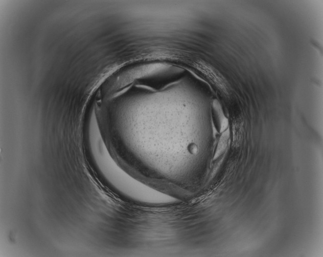 X0000097790436200804041239
