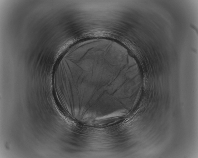 X0000097790438200804041239