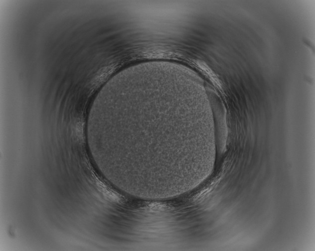 X0000097790441200804041239