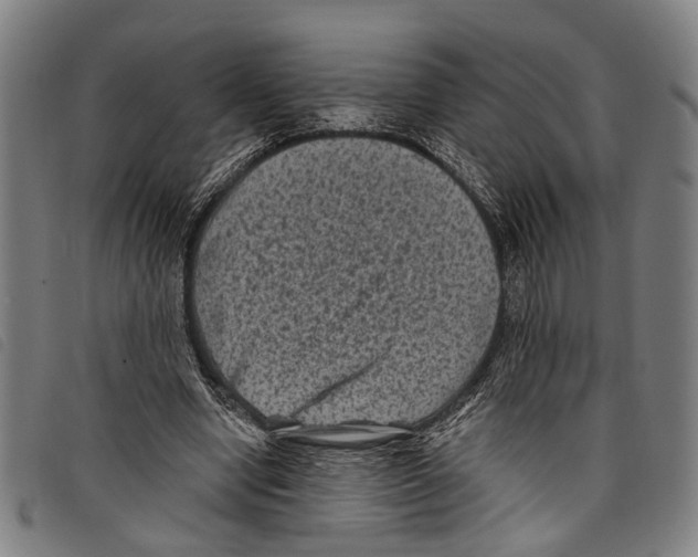 X0000097790442200804041239