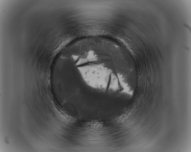 X0000097790443200804041239
