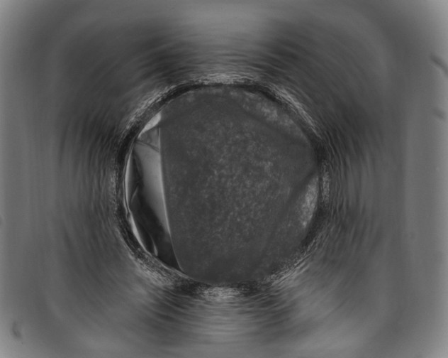 X0000097790444200804041239