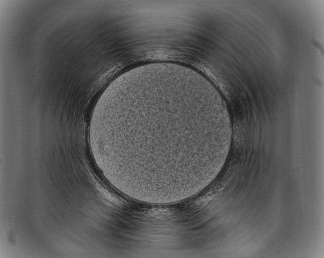 X0000097790445200804041239