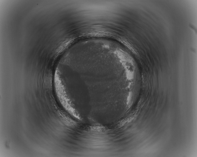 X0000097790446200804041239