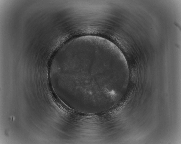 X0000097790447200804041240