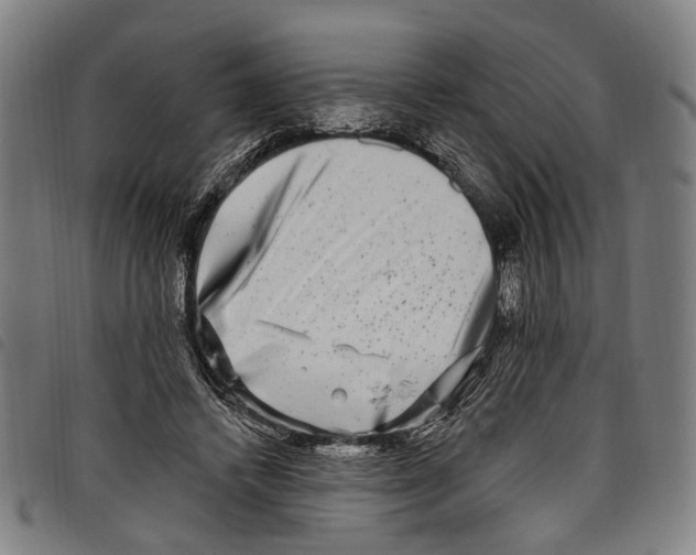 X0000097790448200804041240