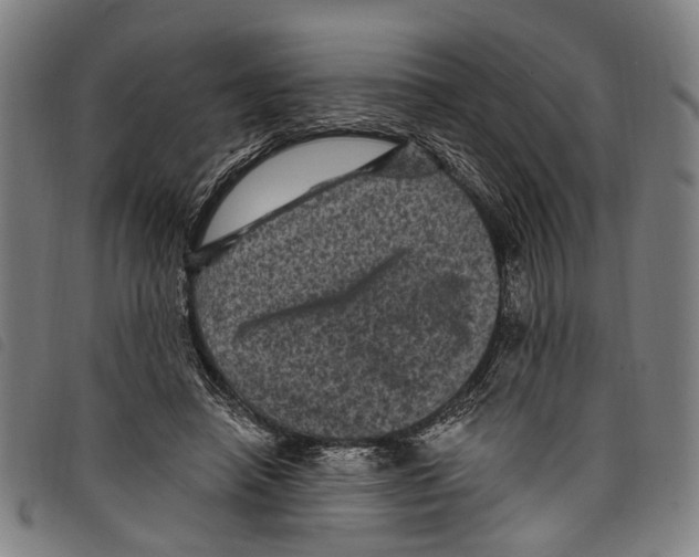 X0000097790450200804041240