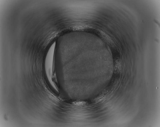 X0000097790452200804041240