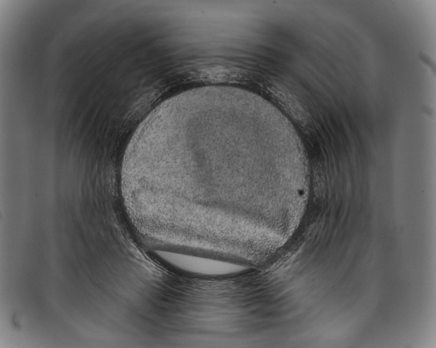 X0000097790453200804041240