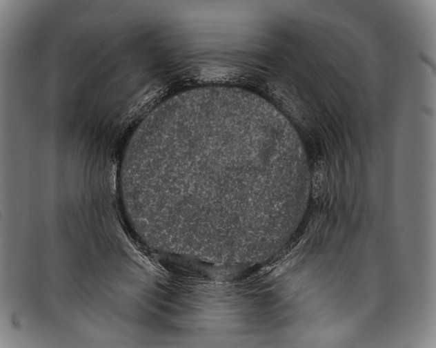 X0000097790454200804041240