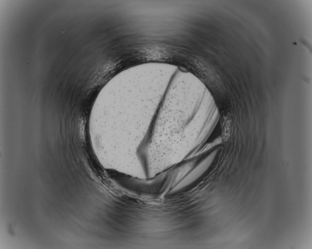 X0000097790456200804041240