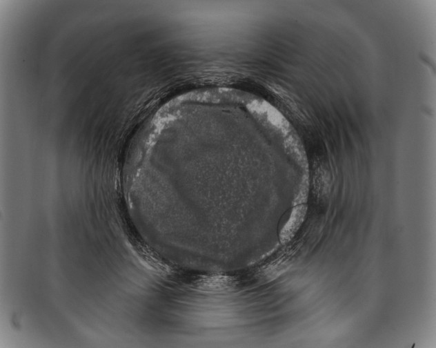 X0000097790459200804041240
