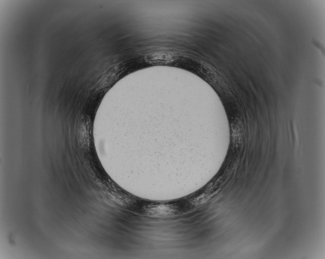 X0000097790460200804041240