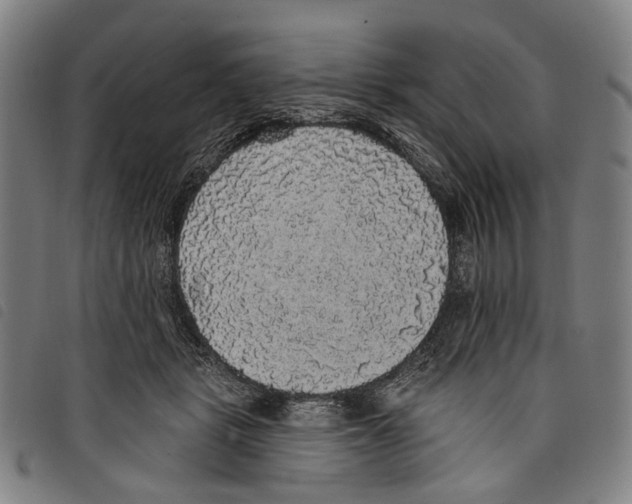 X0000097790461200804041240
