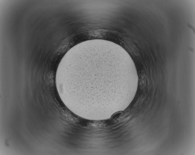 X0000097790466200804041240