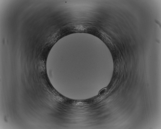 X0000097790467200804041240