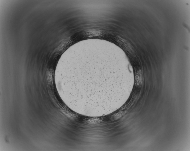 X0000097790468200804041240