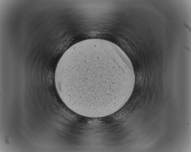 X0000097790470200804041240