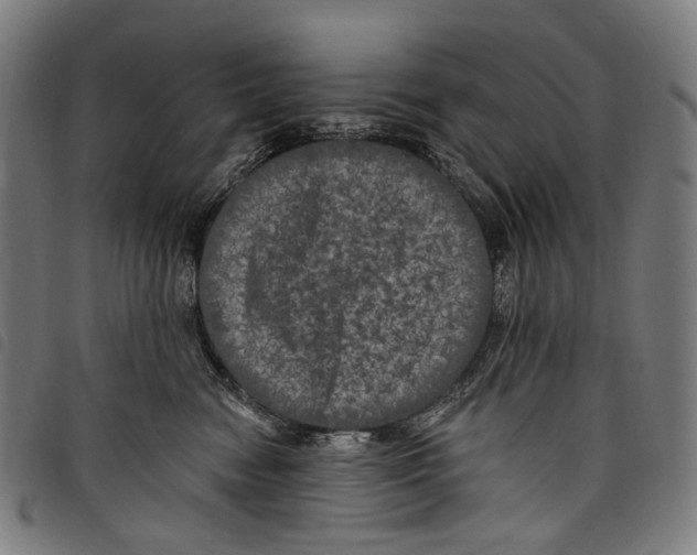 X0000097790474200804041240