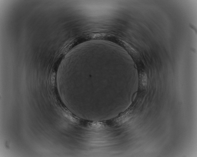 X0000097790475200804041240