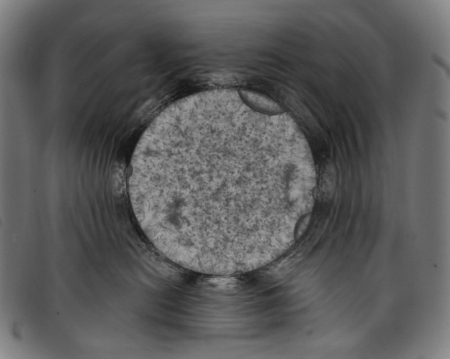 X0000097790478200804041240