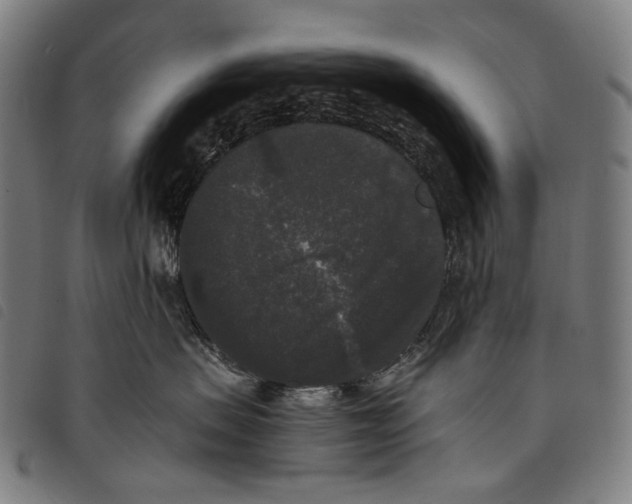 X0000097790479200804041240