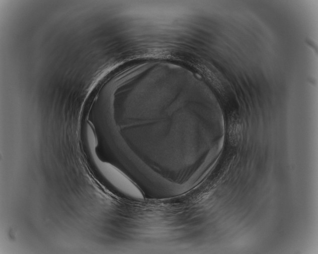 X0000097790484200804041239