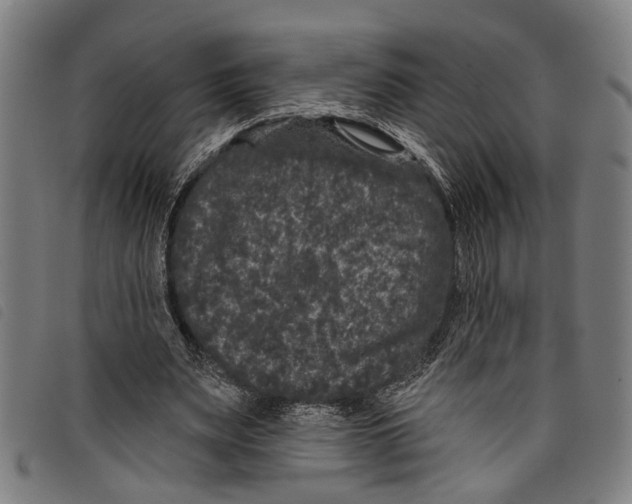 X0000097790487200804041239