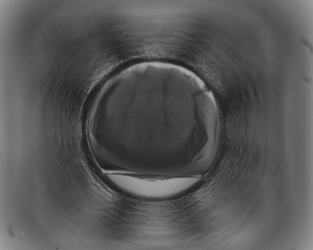 X0000097790488200804041239