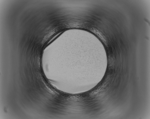 X0000097790489200804041239