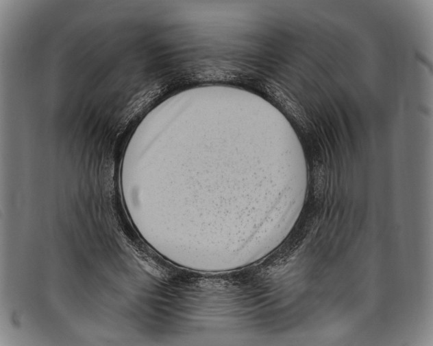 X0000097790490200804041239