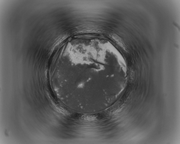 X0000097790491200804041239