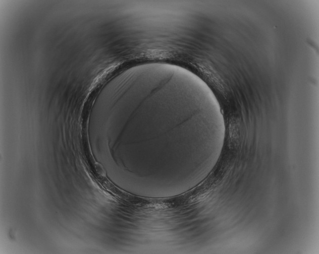 X0000097790492200804041239