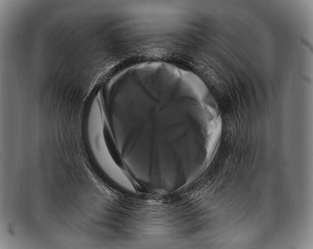 X0000097790496200804041239