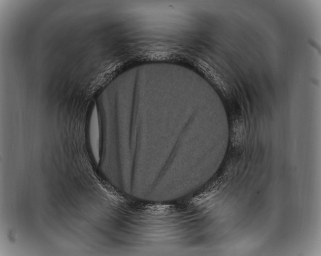 X0000097790497200804041239