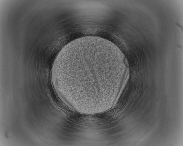 X0000097790498200804041239