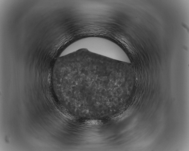 X0000097790499200804041239