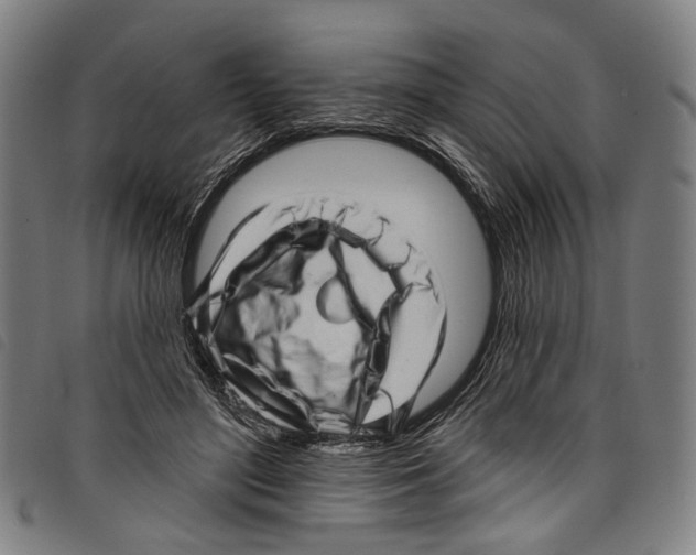 X0000097790500200804041239