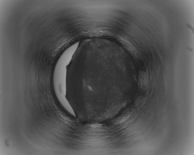 X0000097790501200804041239