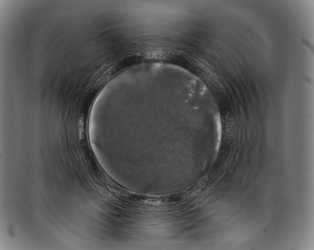 X0000097790502200804041239