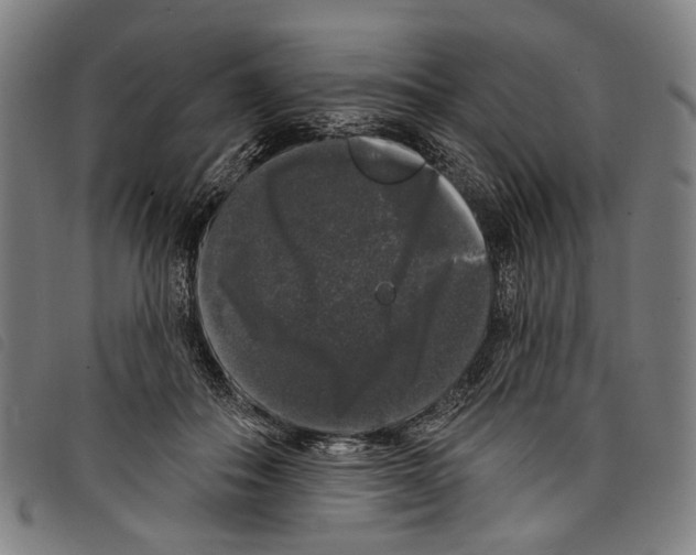 X0000097790506200804041239