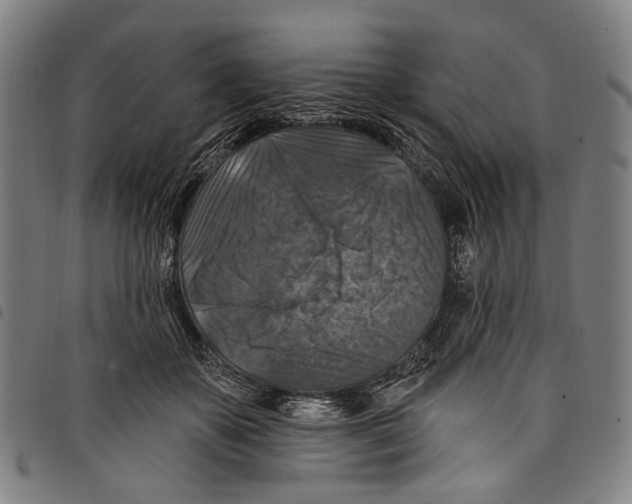 X0000097790507200804041239