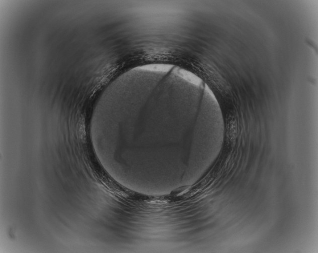 X0000097790508200804041239