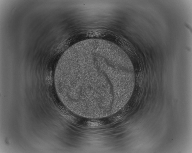 X0000097790510200804041239