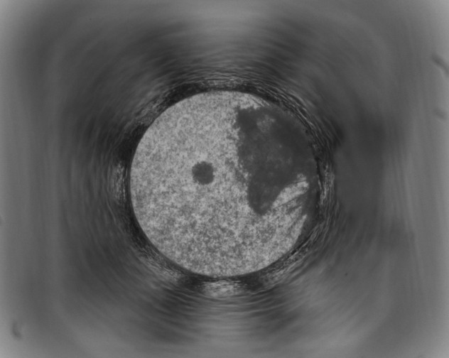 X0000097790511200804041239